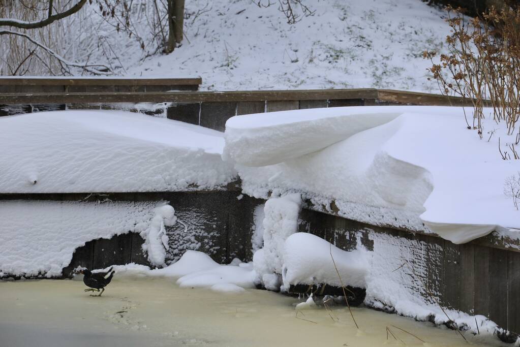 Nederland ontwaakt onder deken van sneeuw