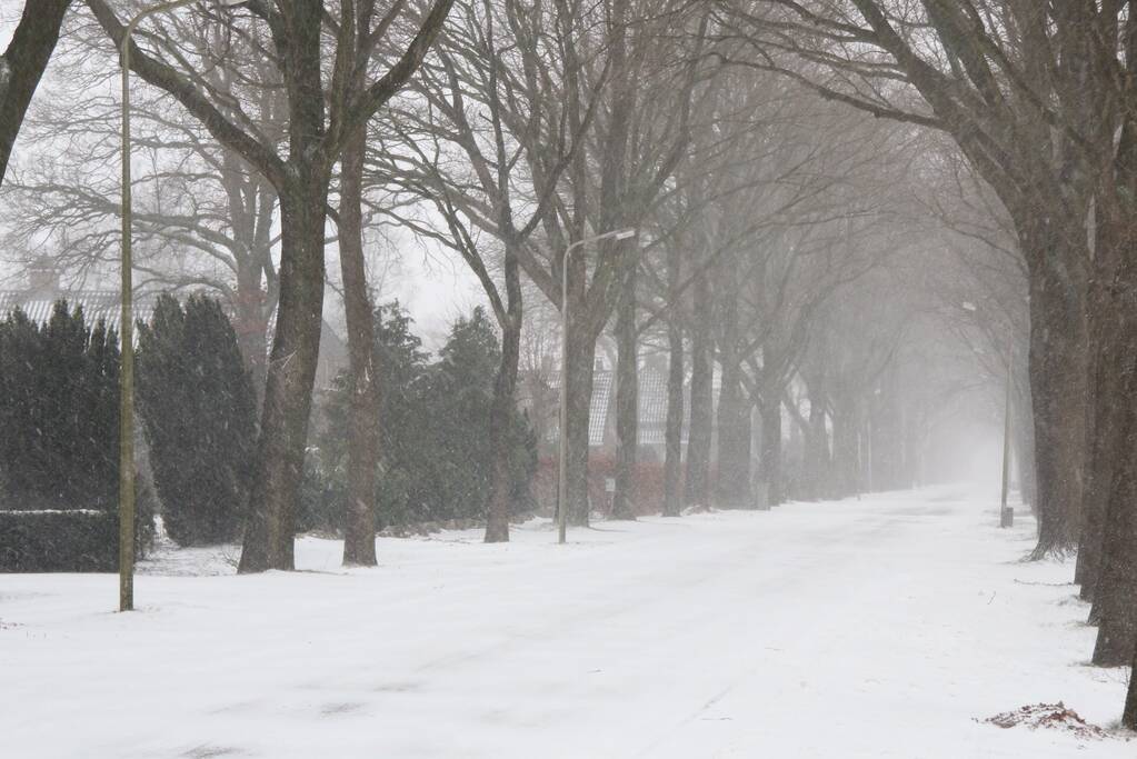 Nederland ontwaakt onder deken van sneeuw
