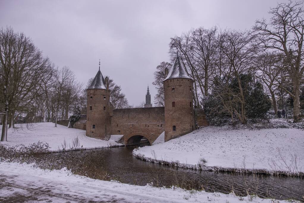 Nederland ontwaakt onder deken van sneeuw