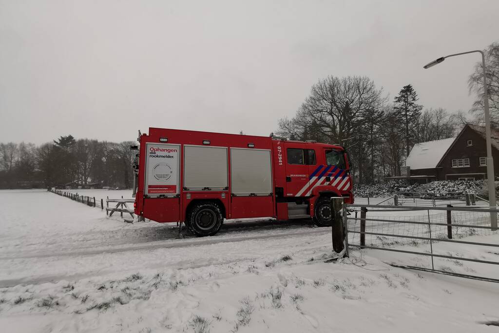 Bulldozer zet paard weer op zijn benen
