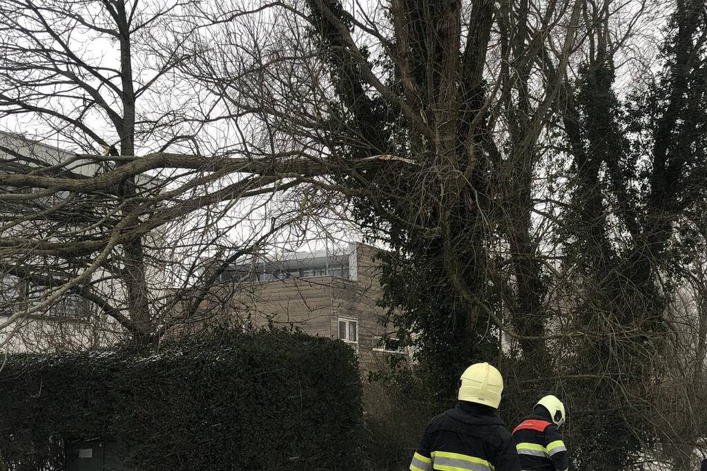 Tak breek af door harde wind