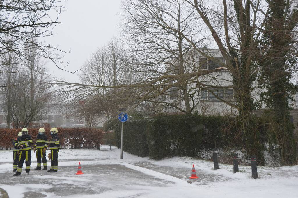 Tak breek af door harde wind