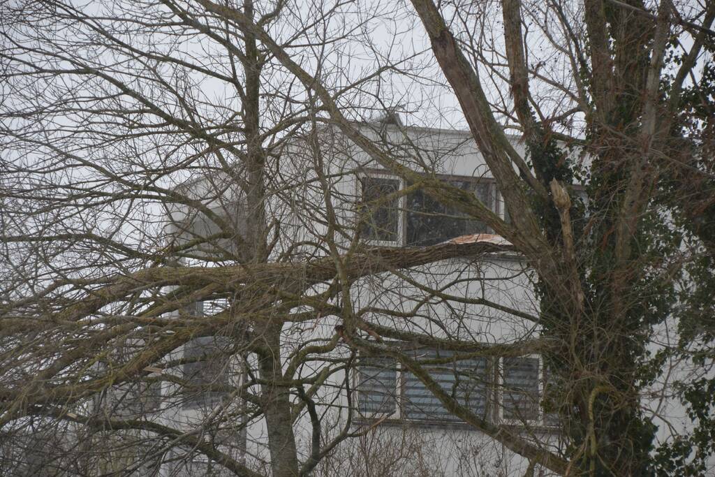Tak breek af door harde wind