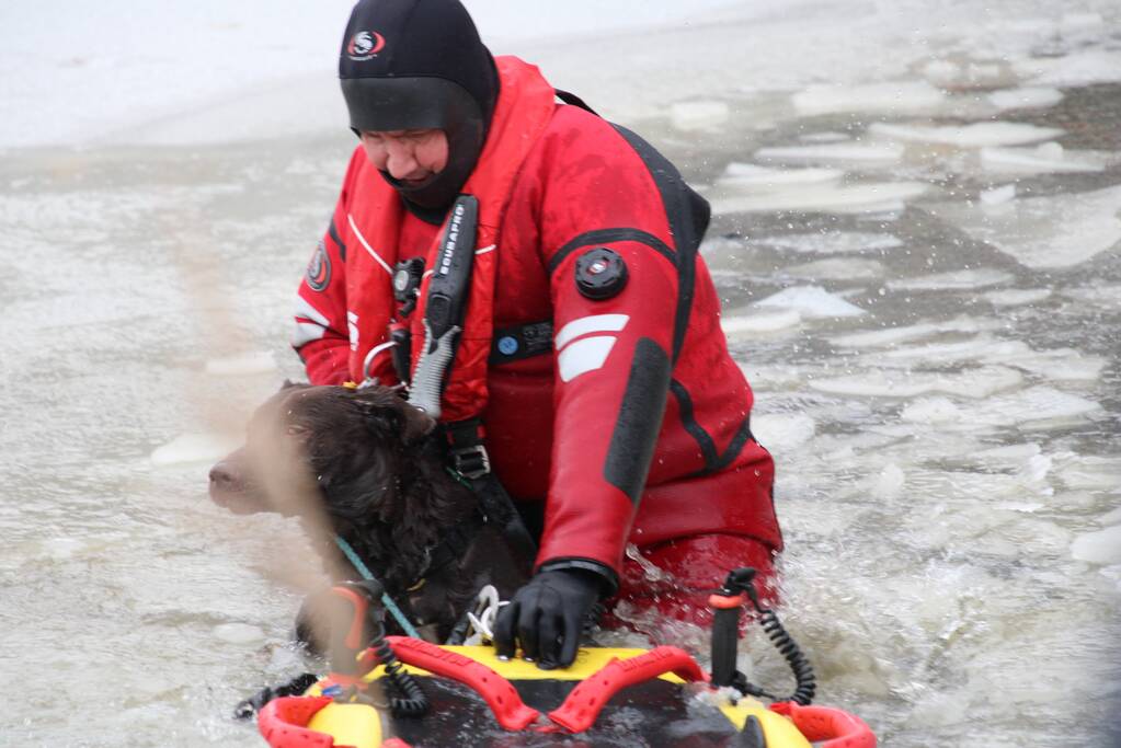 Hond door ijs gezakt