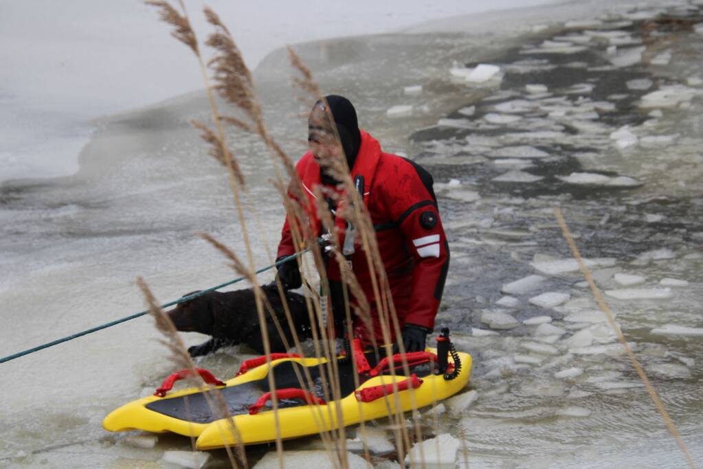 Hond door ijs gezakt