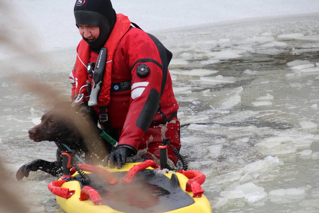 Hond door ijs gezakt