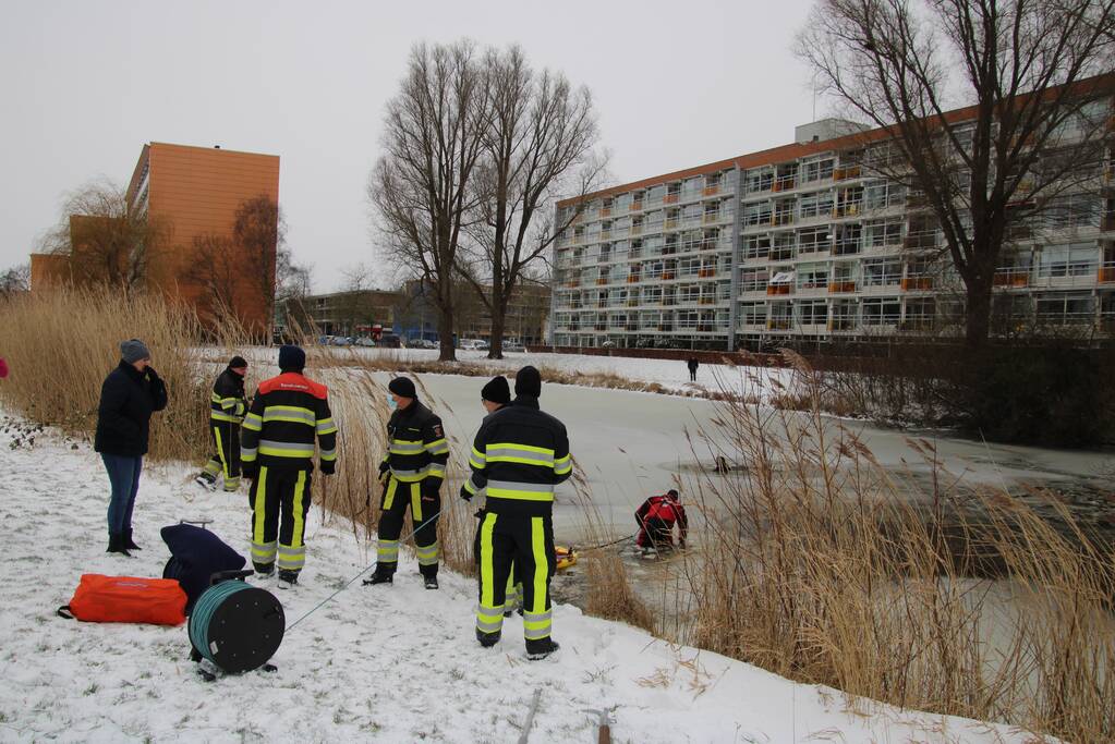 Hond door ijs gezakt