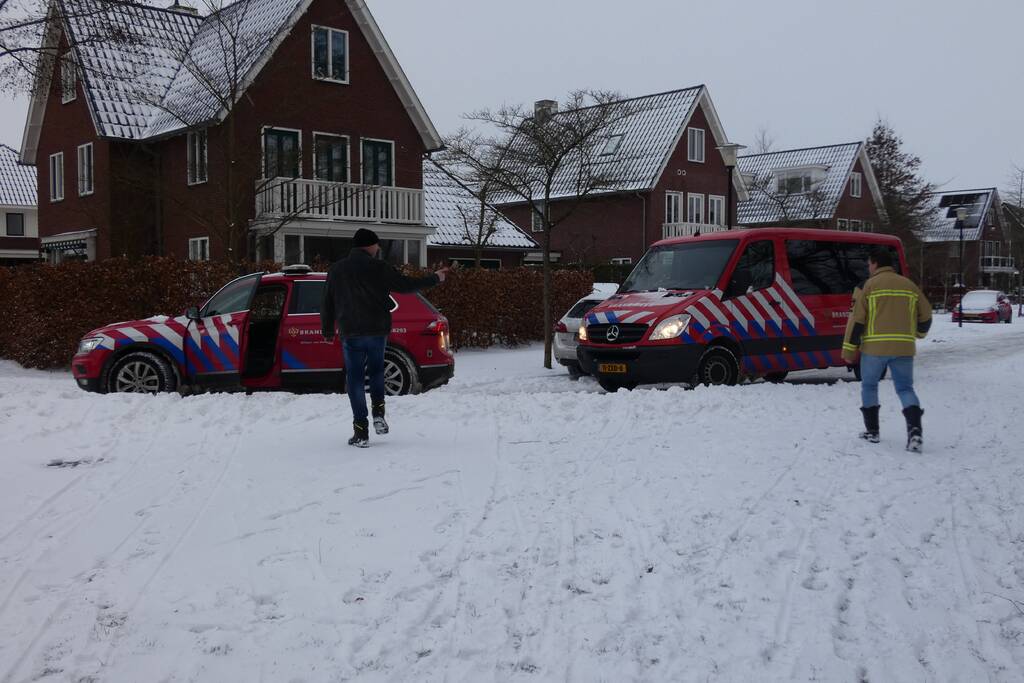 Zwaan vastgevroren op het ijs