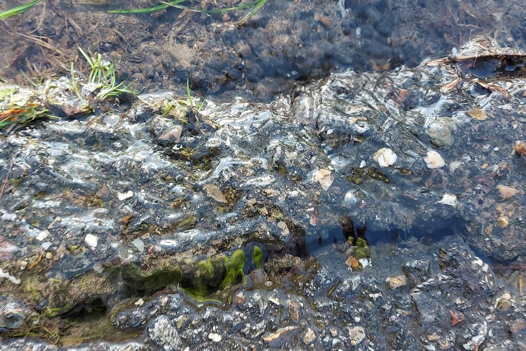 Waterballet na gesprongen leiding