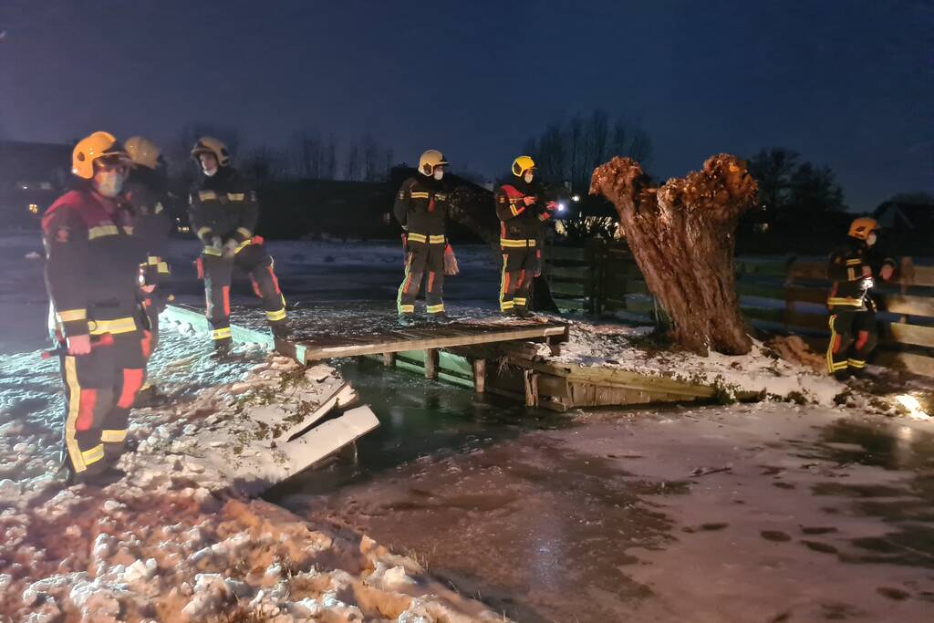 Buurtbewoner belt brandweer voor vermoedelijk vastzittende gans