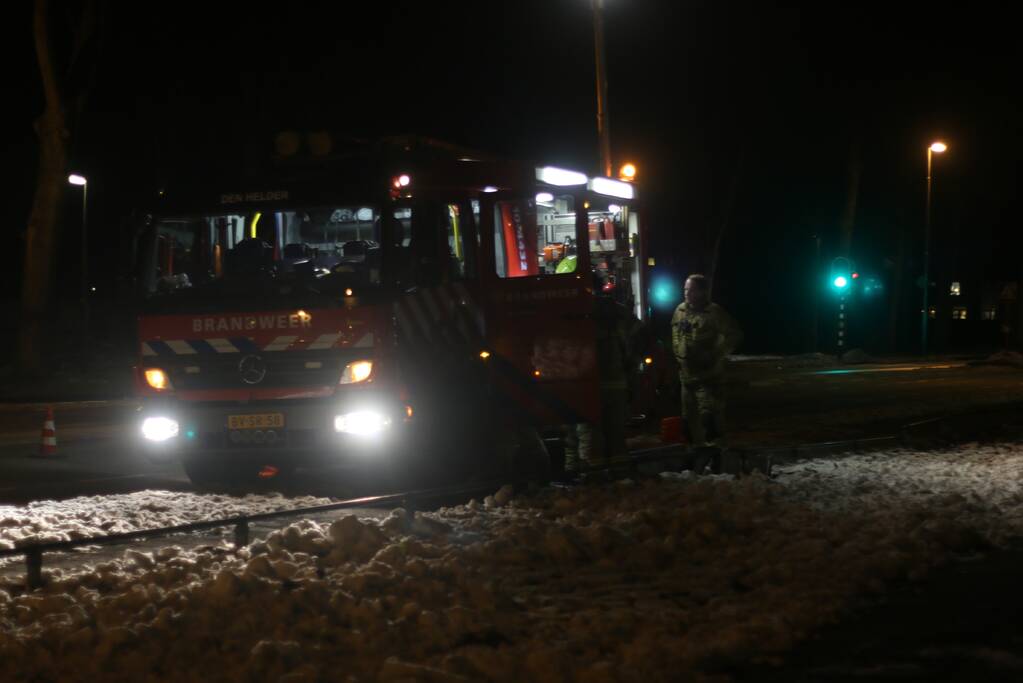 Kat overleden na val in wak