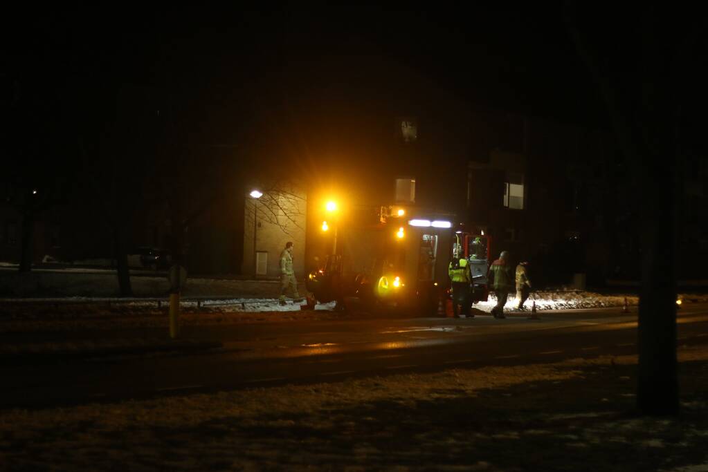 Kat overleden na val in wak