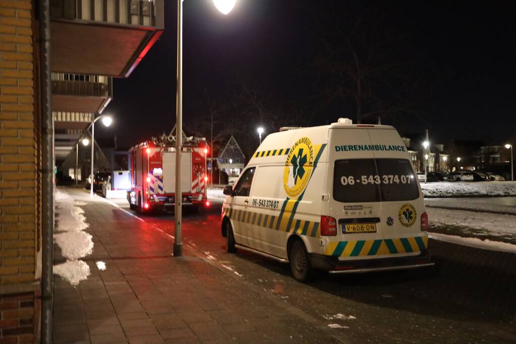 Brandweer ingezet voor zwaan vast op ijs