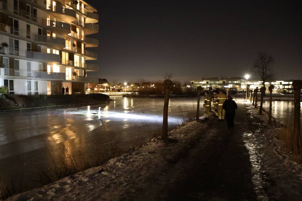 Brandweer ingezet voor zwaan vast op ijs