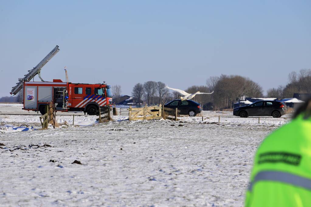 Natuurfotograaf vindt vastgevroren zwaan