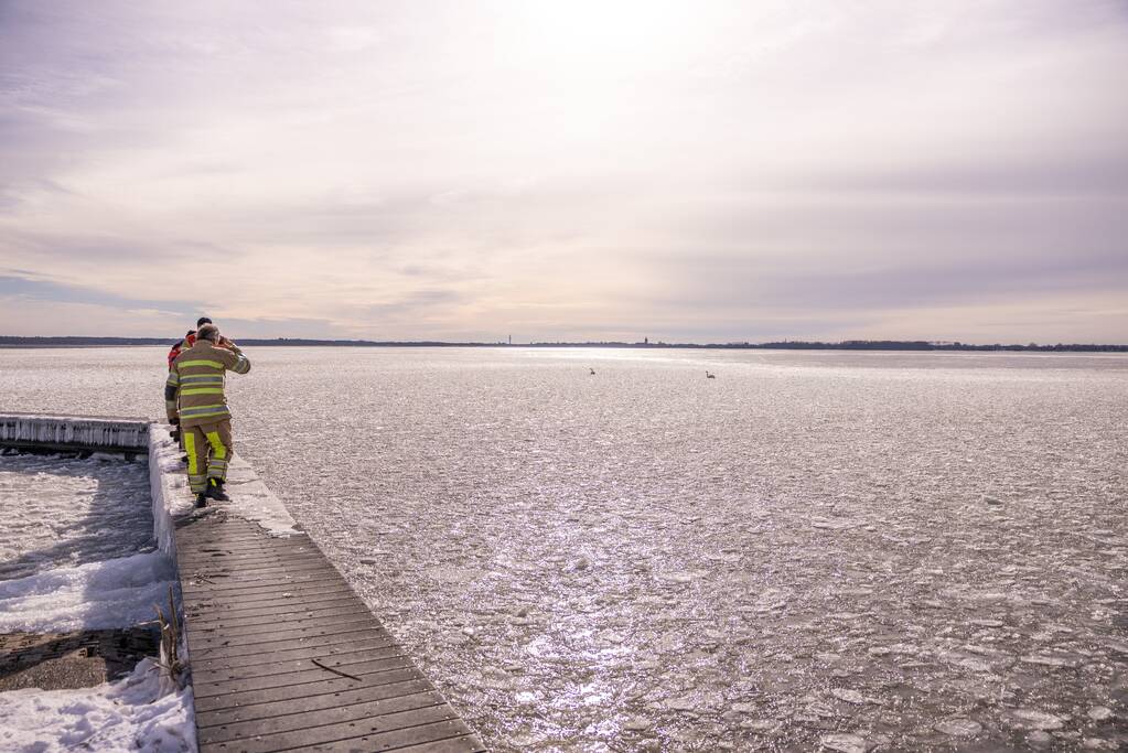 Twee vastzittende zwanen met drone bevrijdt
