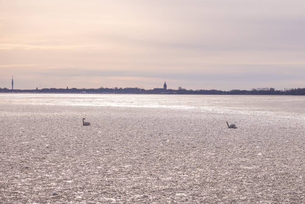 Twee vastzittende zwanen met drone bevrijdt