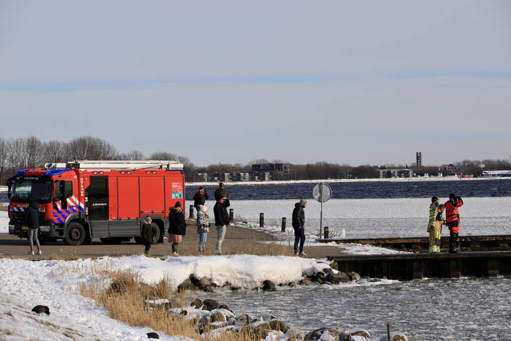 Twee vastzittende zwanen met drone bevrijdt
