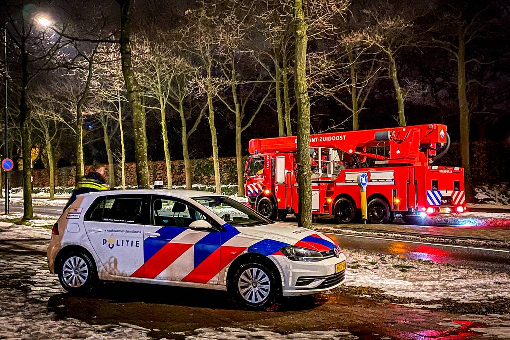 Kat door brandweer uit de boom gehaald