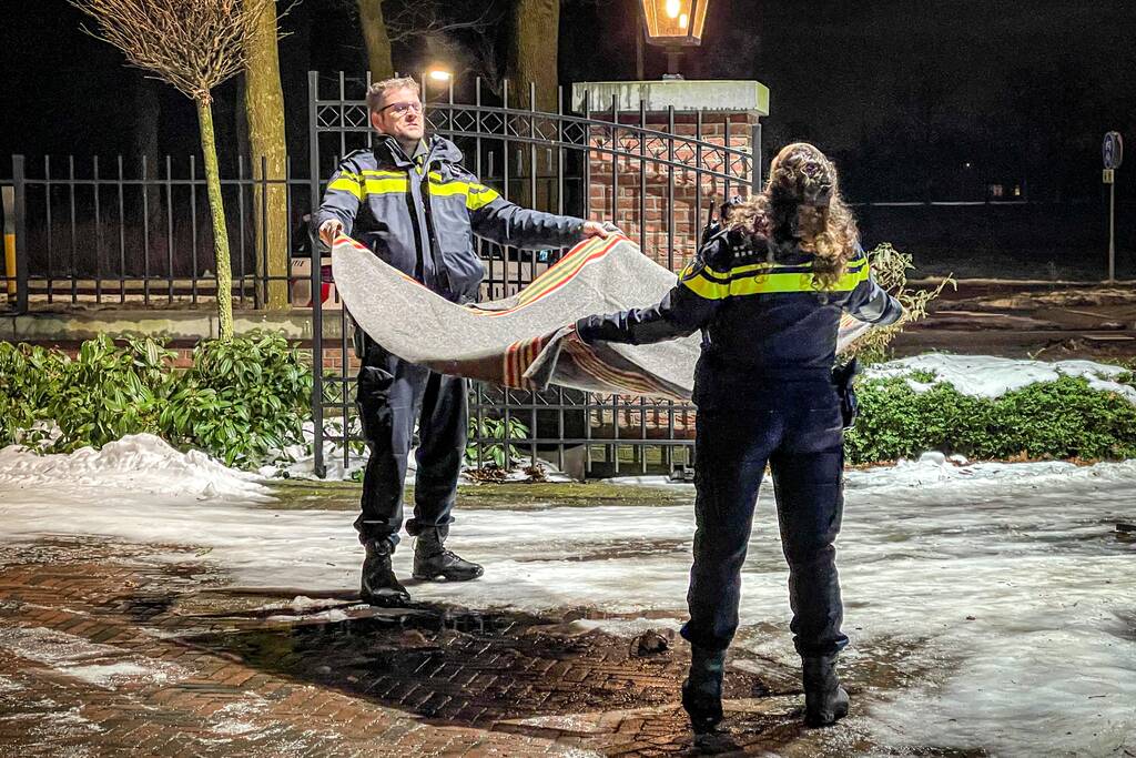Kat door brandweer uit de boom gehaald