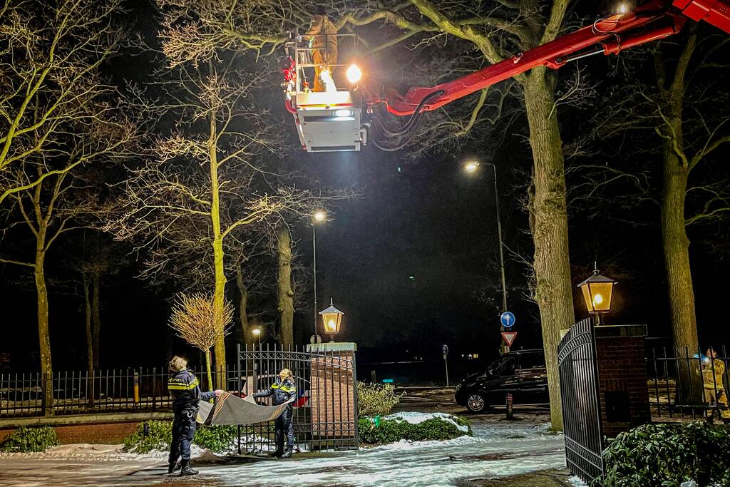Kat door brandweer uit de boom gehaald