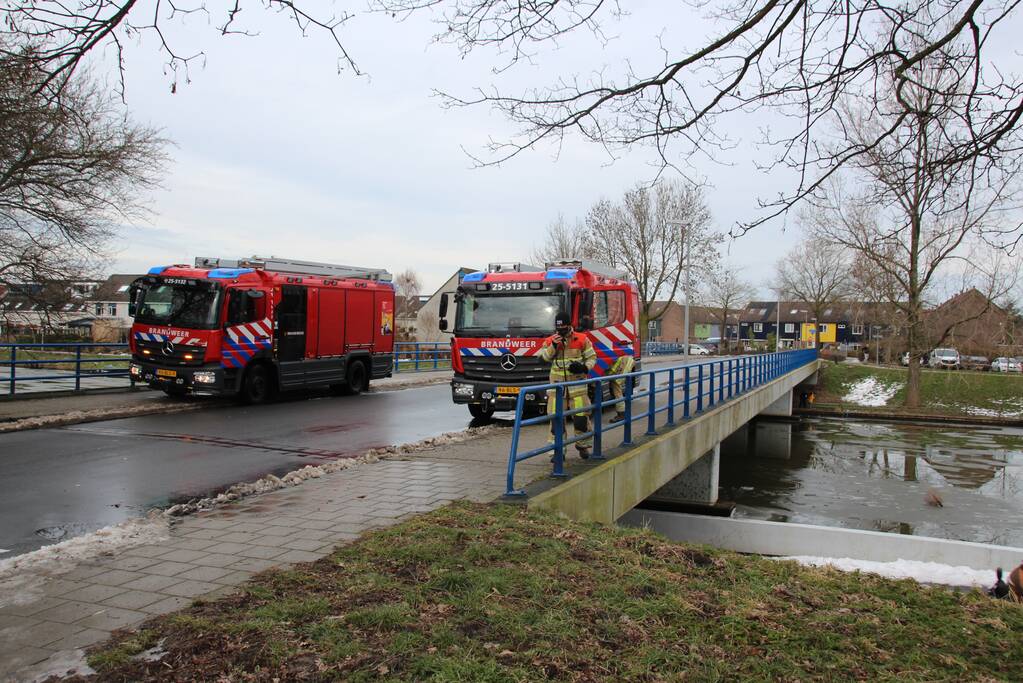 Brandweer oefent in ijskoude Gelderse Diep