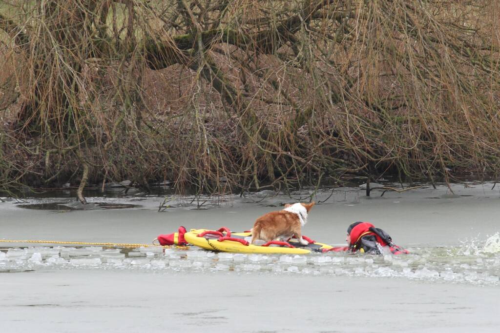 Jongen springt hond achterna en zakt door ijs