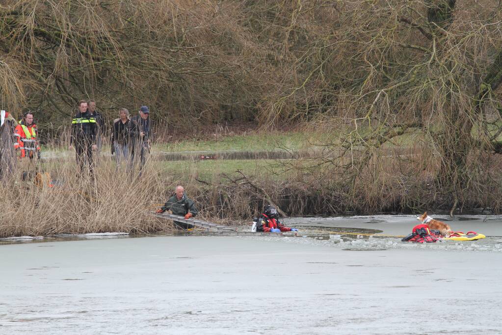 Jongen springt hond achterna en zakt door ijs