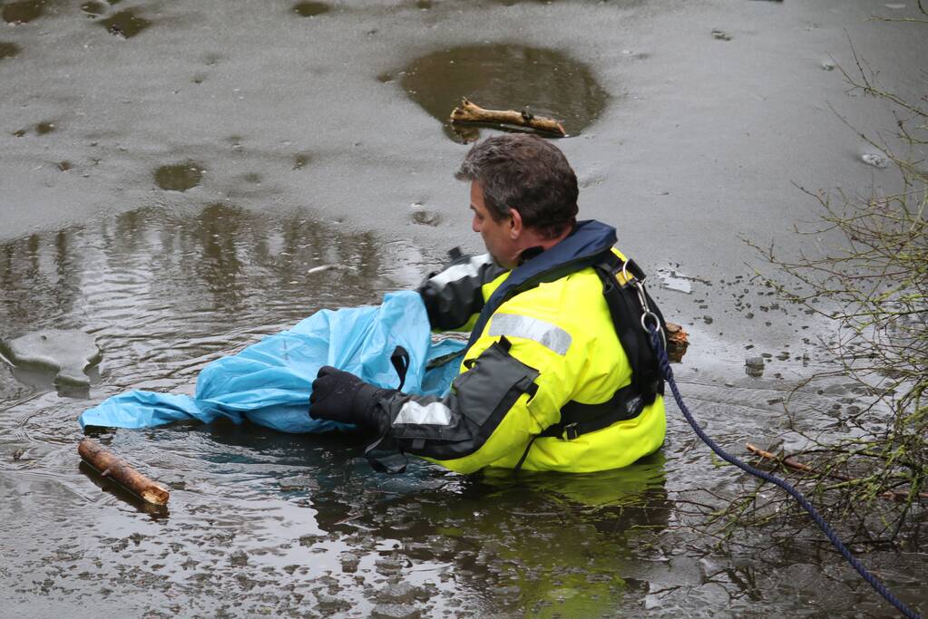 Dode reiger door brandweer uit het Rehorstpark gehaald