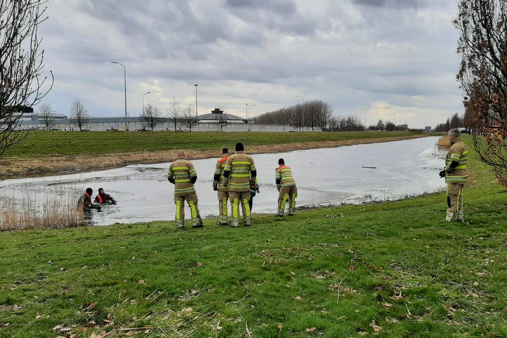 Brandweer en dierenambulance helpen zwaan uit ijs