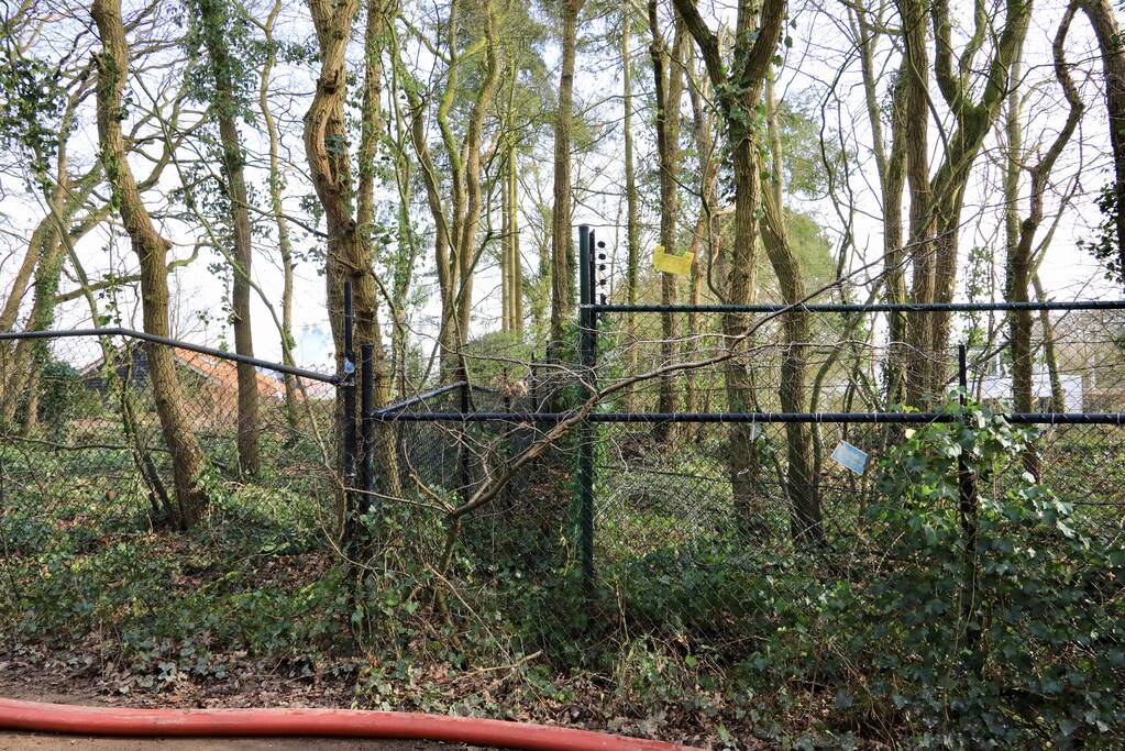 Woning Tom Coronel ontruimd door brand bij buren