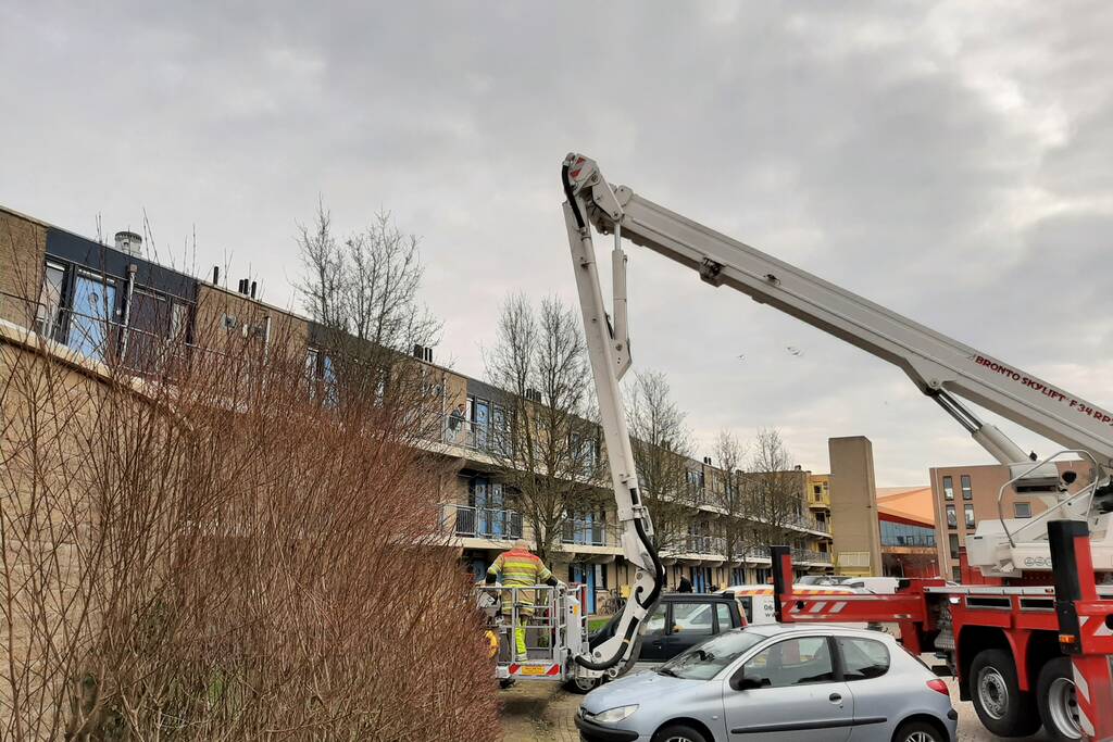 Brandweer haalt vastgelopen kat uit boom