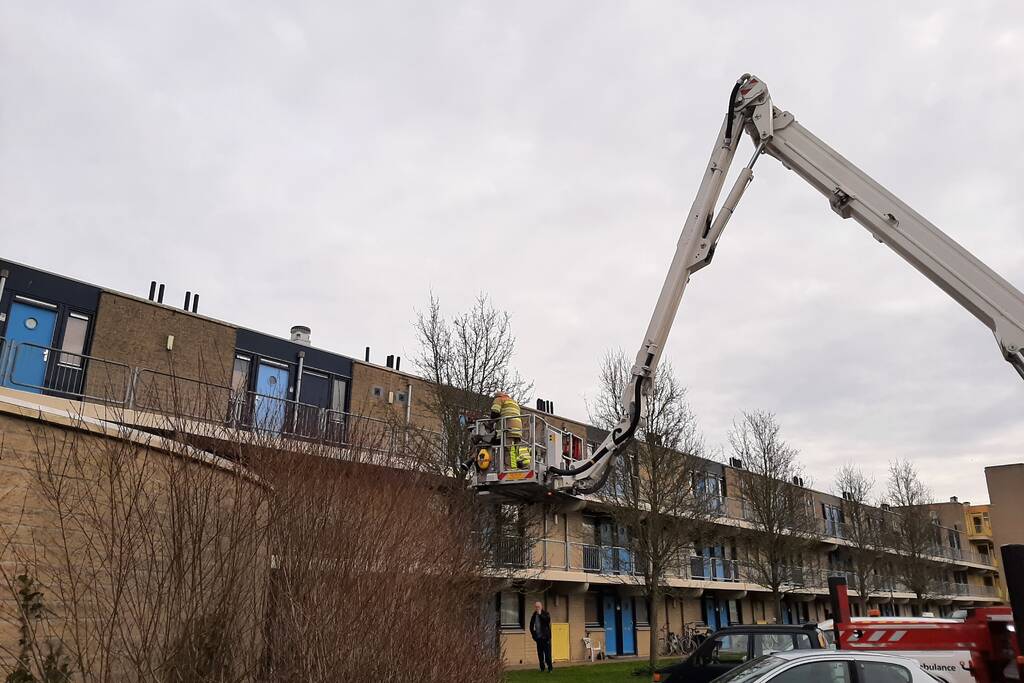 Brandweer haalt vastgelopen kat uit boom