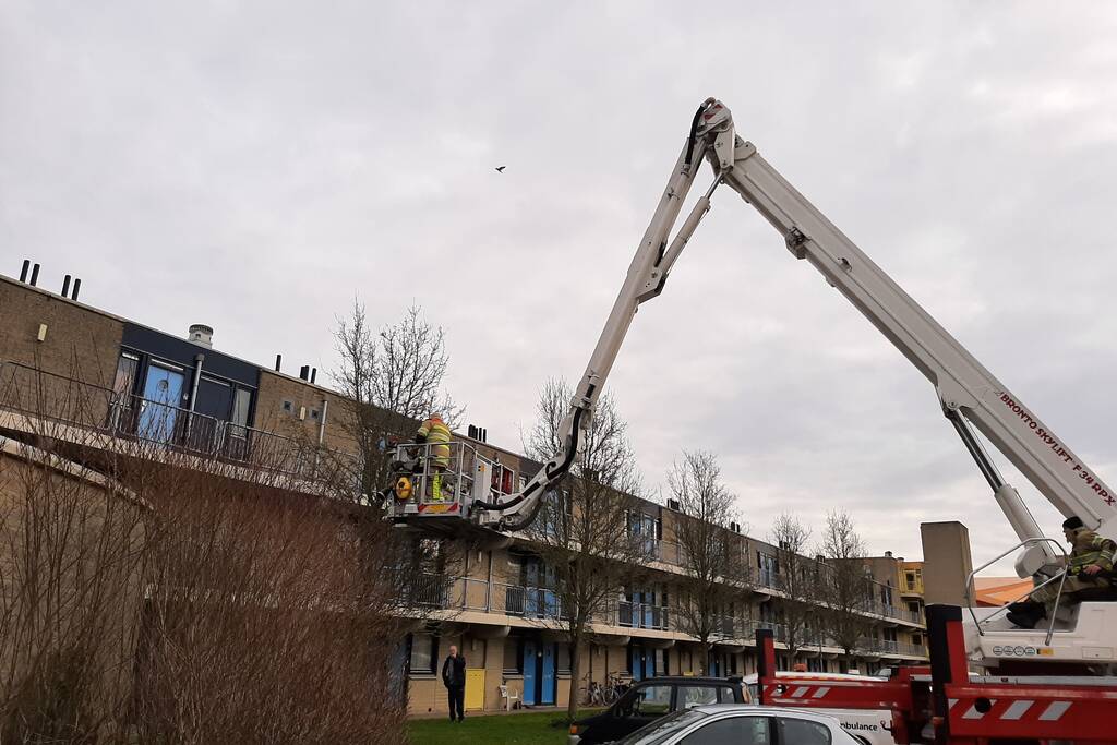 Brandweer haalt vastgelopen kat uit boom