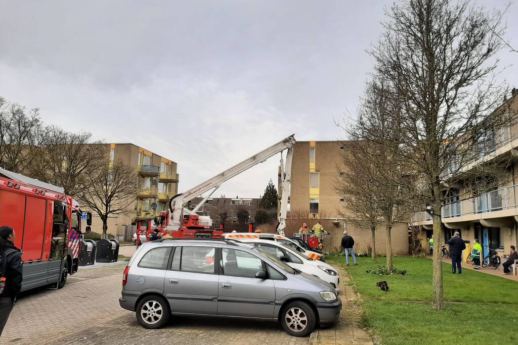 Brandweer haalt vastgelopen kat uit boom