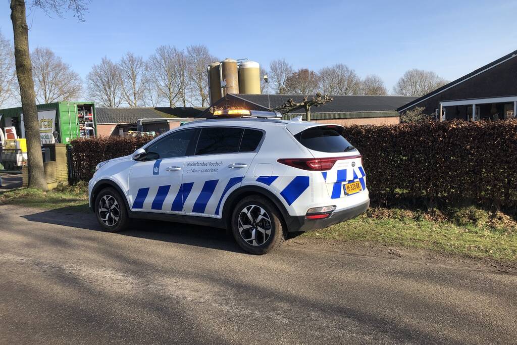 Gevaarlijke vogelgriep gevonden, 130 duizend kippen afgemaakt