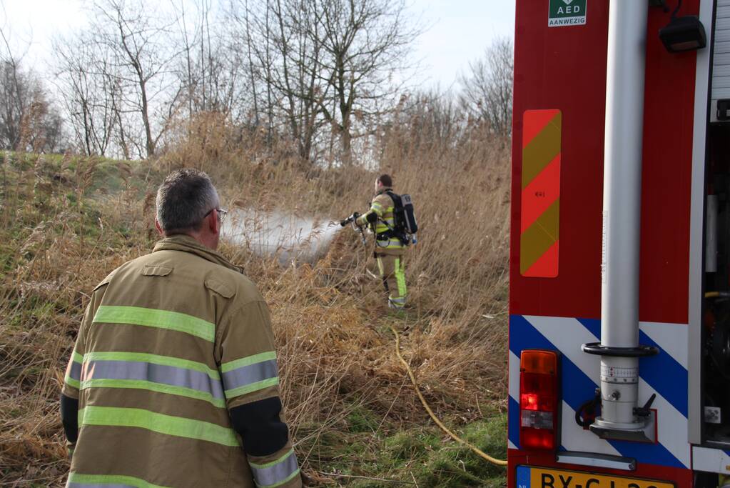 Brandweer blust kleine brand in bosschage
