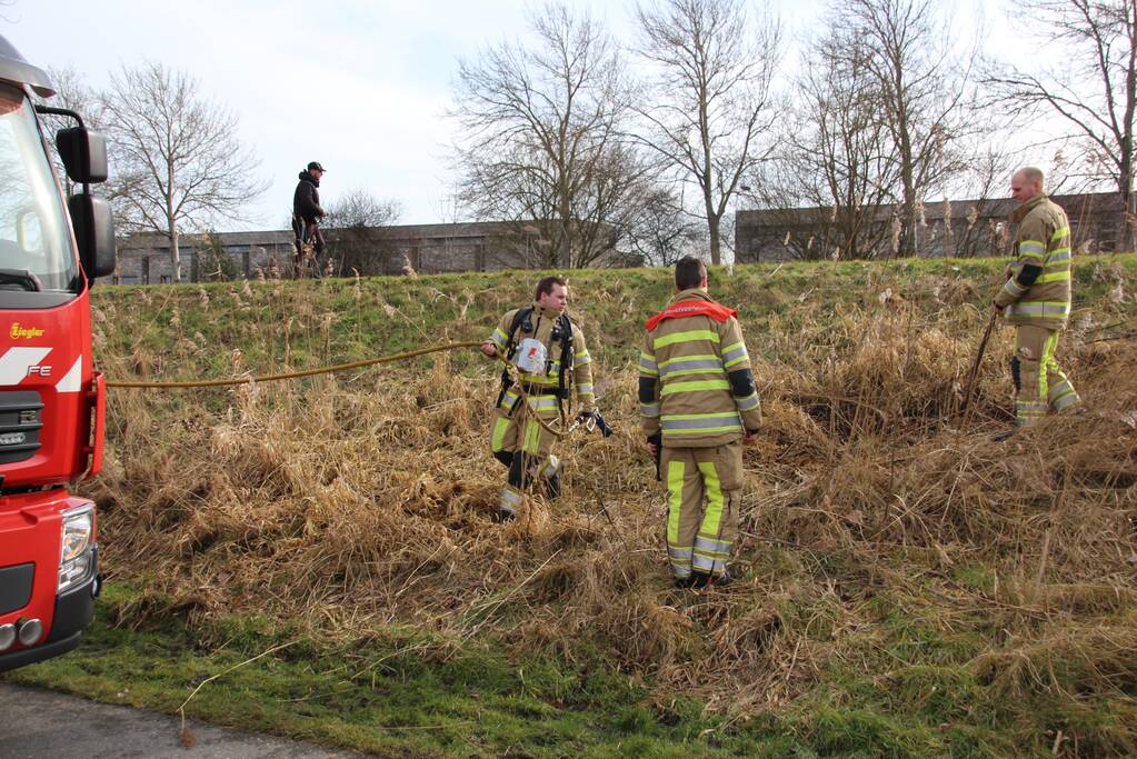 Brandweer blust kleine brand in bosschage
