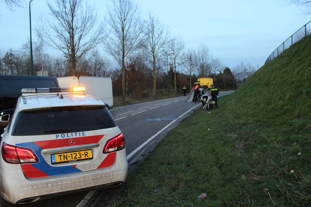 Motorrijder gewond bij botsing met boom