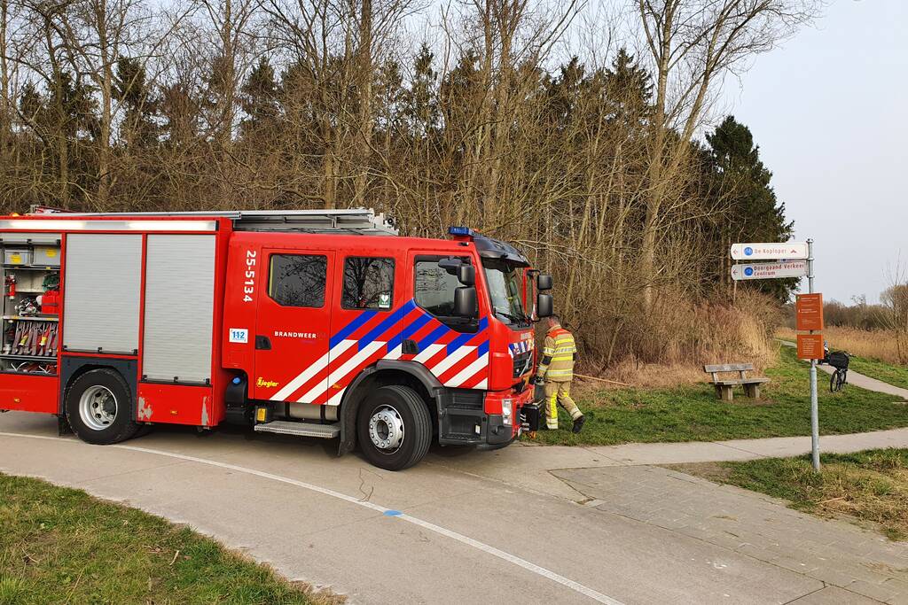 Brand in rietkraag wandelgebied