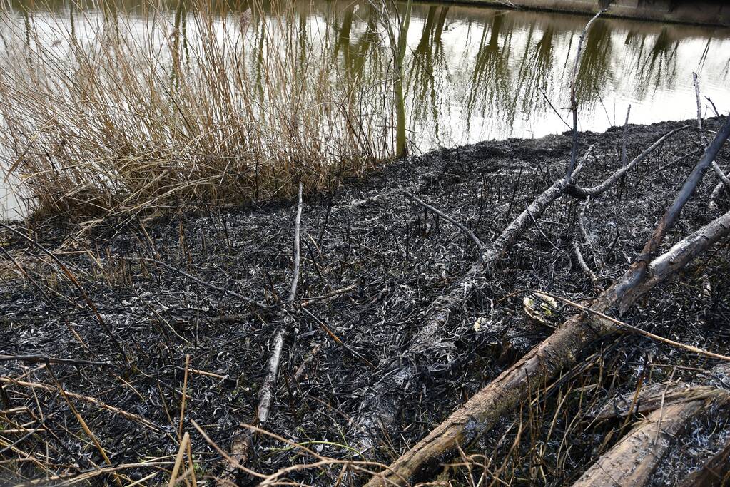 Brand in rietkraag wandelgebied