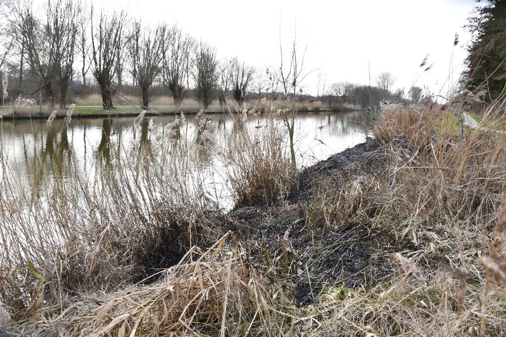 Brand in rietkraag wandelgebied