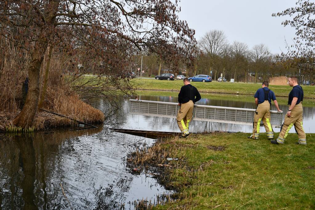 Meerkoet door brandweer gered