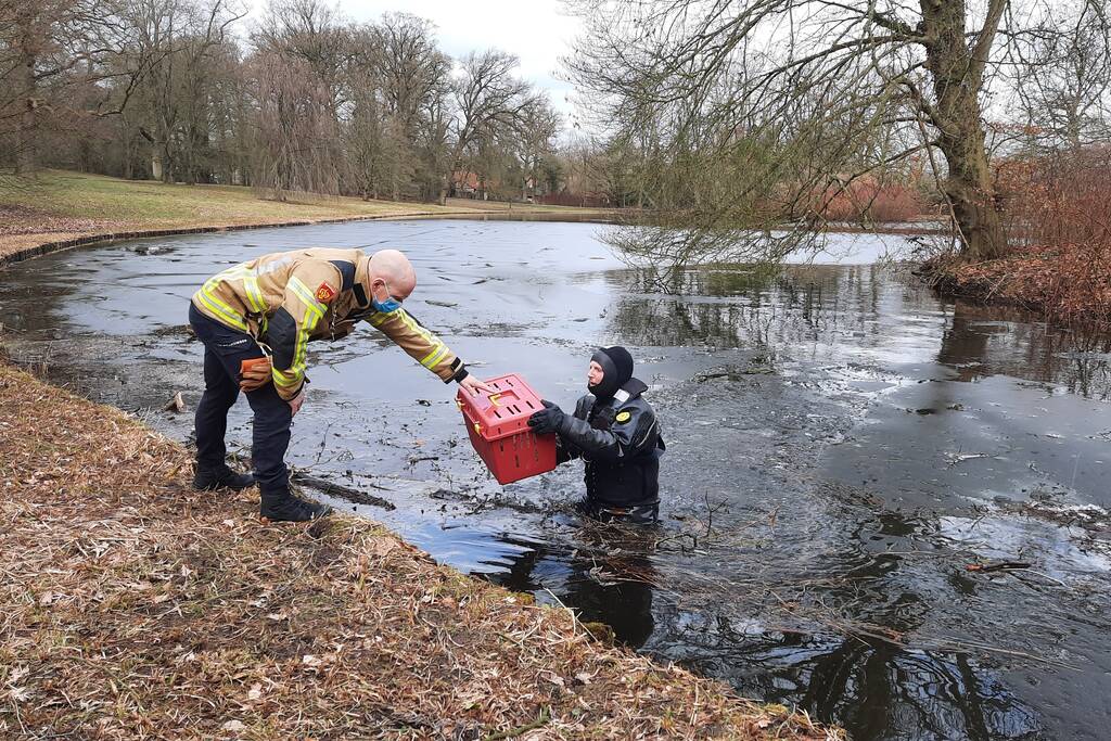 Kat van onbewoond eiland Spoolderbos gered