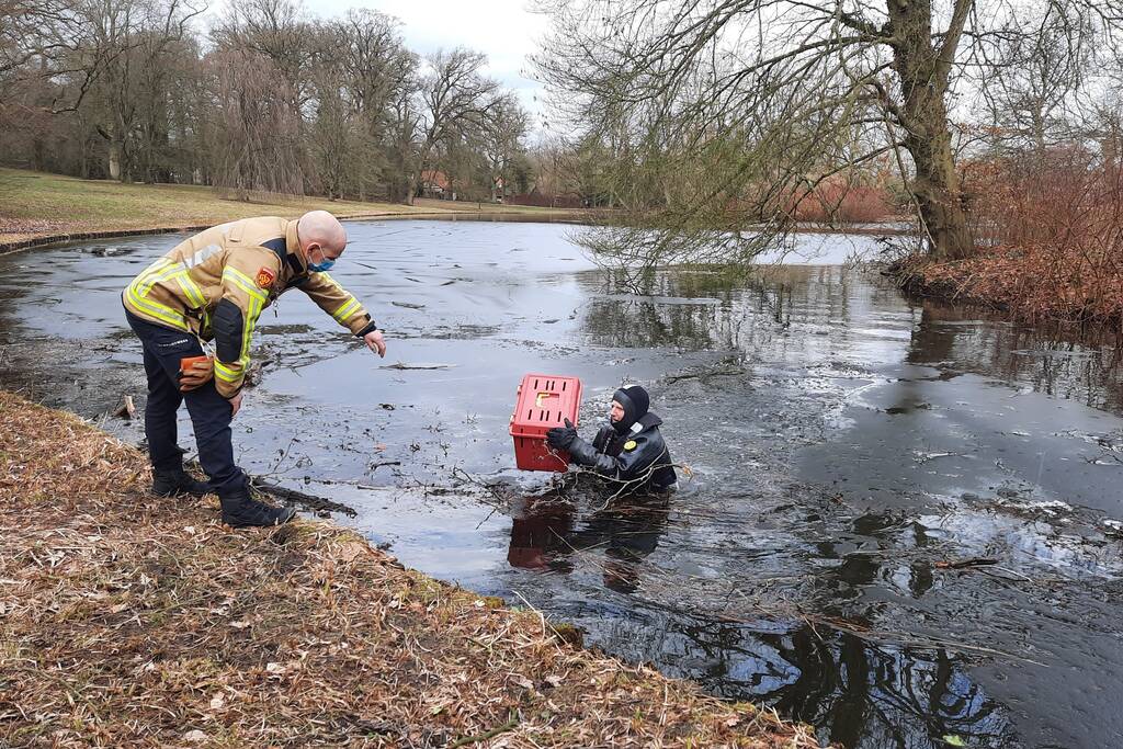 Kat van onbewoond eiland Spoolderbos gered
