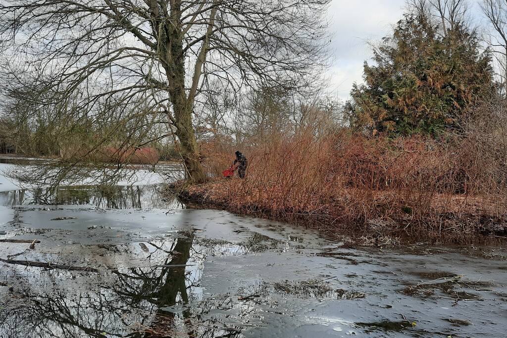 Kat van onbewoond eiland Spoolderbos gered