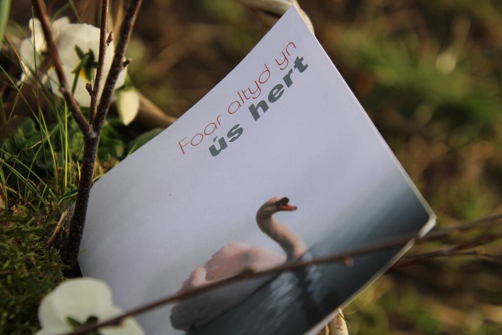 Met kaarsjes herdenken dorpsgenoten dood Karin Grijpstra (55)