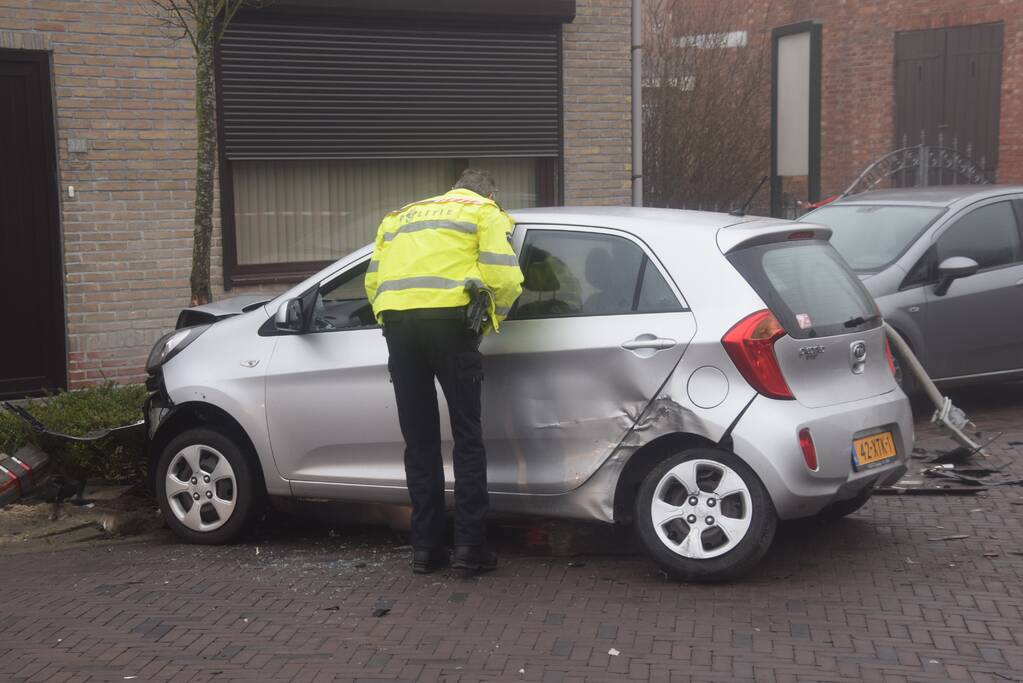 Automobilist richt ravage aan na botsing met lichtmast, bestuurder overleden