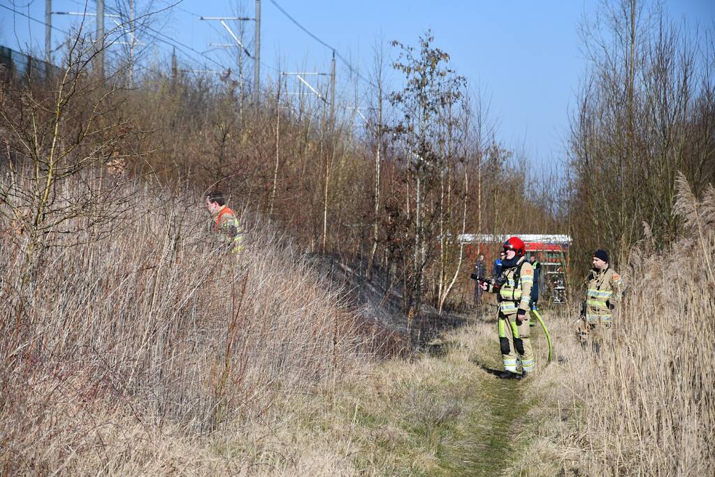 Enorm stuk riet langs spoor in brand