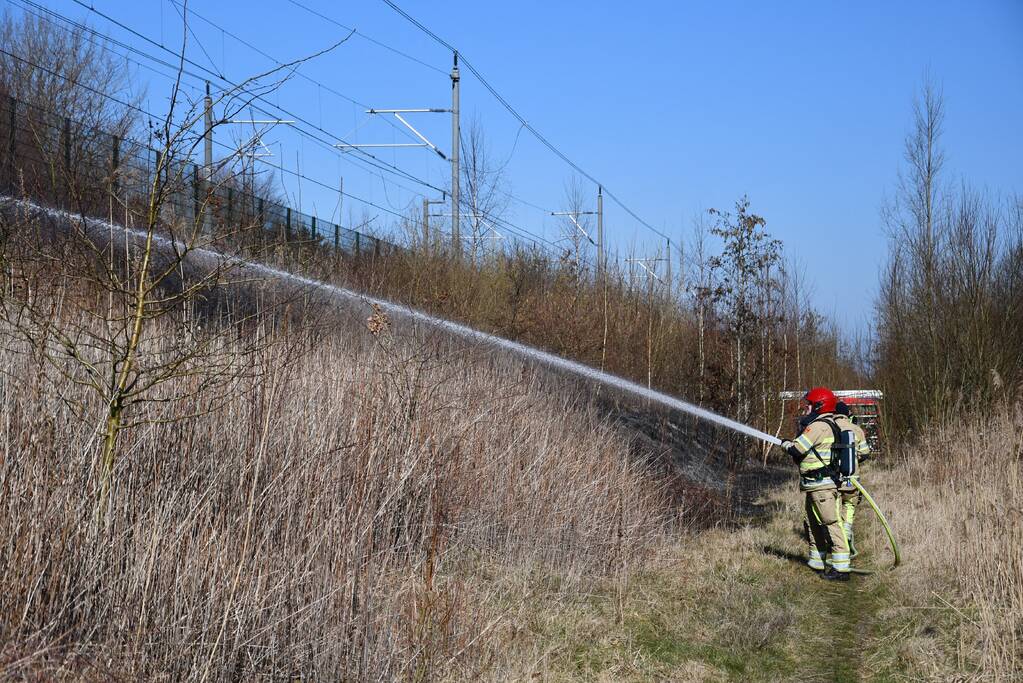 Enorm stuk riet langs spoor in brand